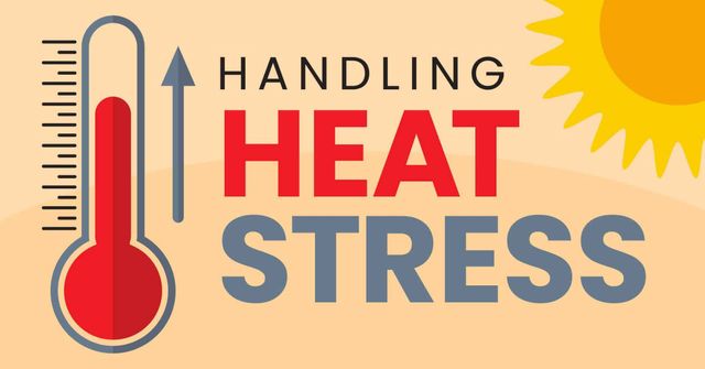 How to Handle Heat Stress Prevention & Training: Spotting Heat 