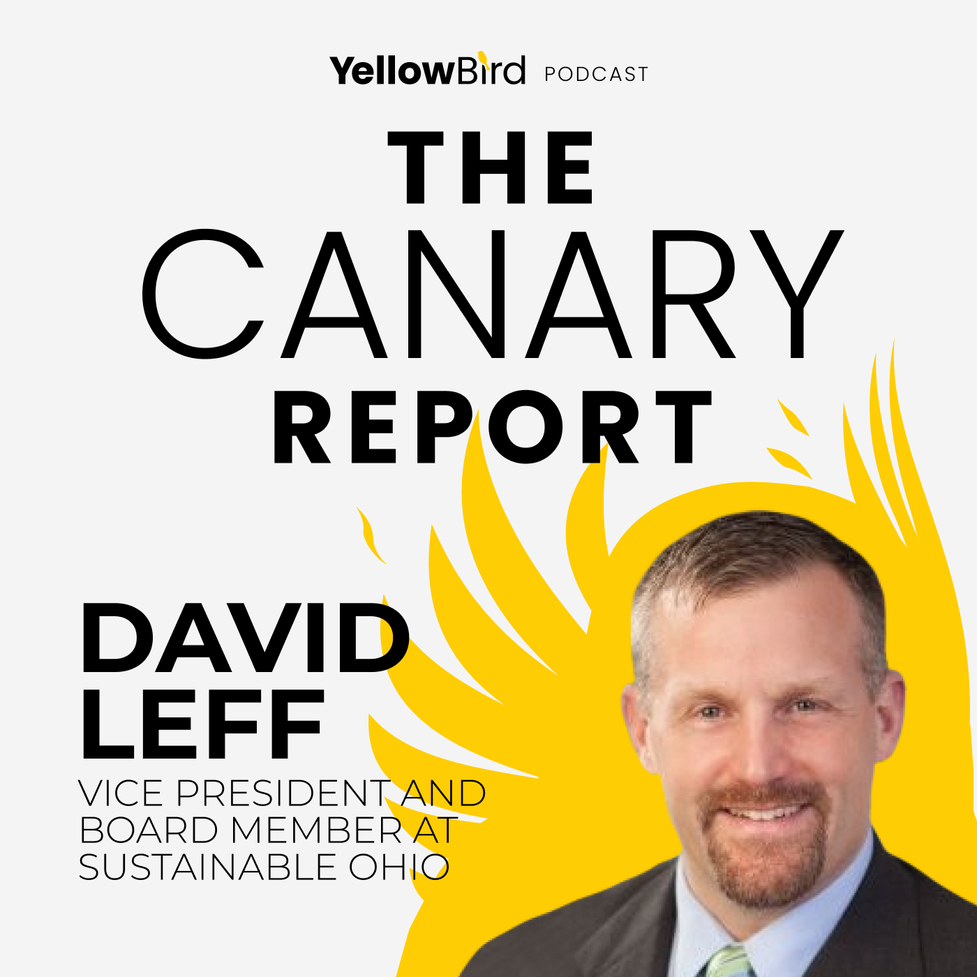 The Canary Report with David Leff