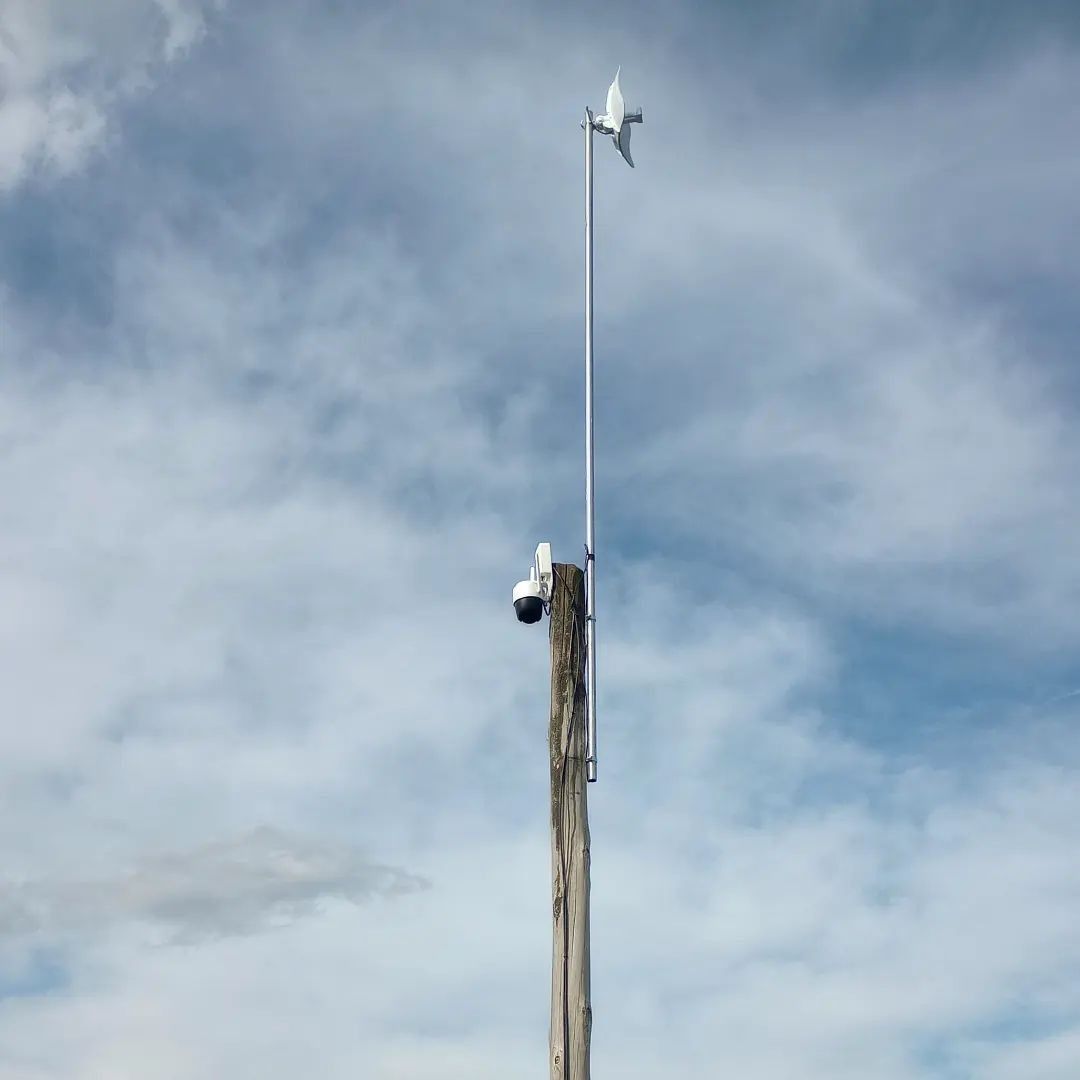 Poste de madera con cámara de seguridad y veleta en forma de pájaro contra un cielo nublado.