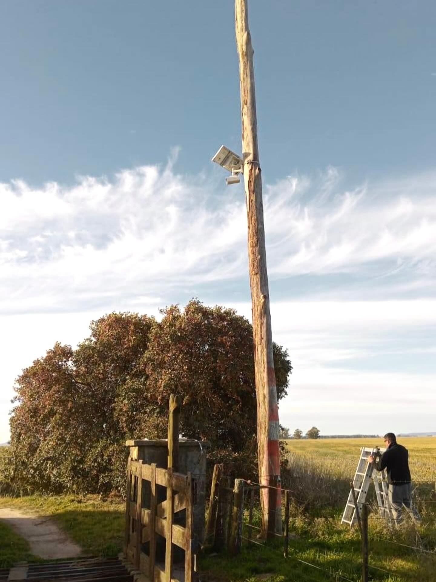 Hombre subido a una escalera junto a un poste desgastado