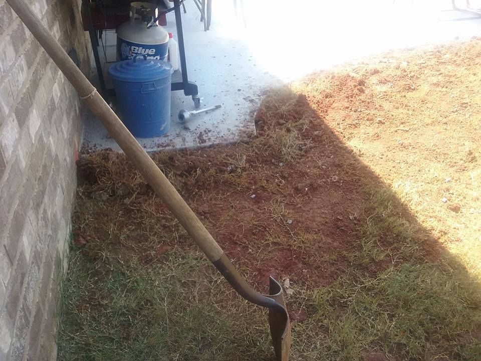 Shovel leaning against a brick wall, beside a patch of brown mulch and green grass. Blue bucket and propane tank visible.