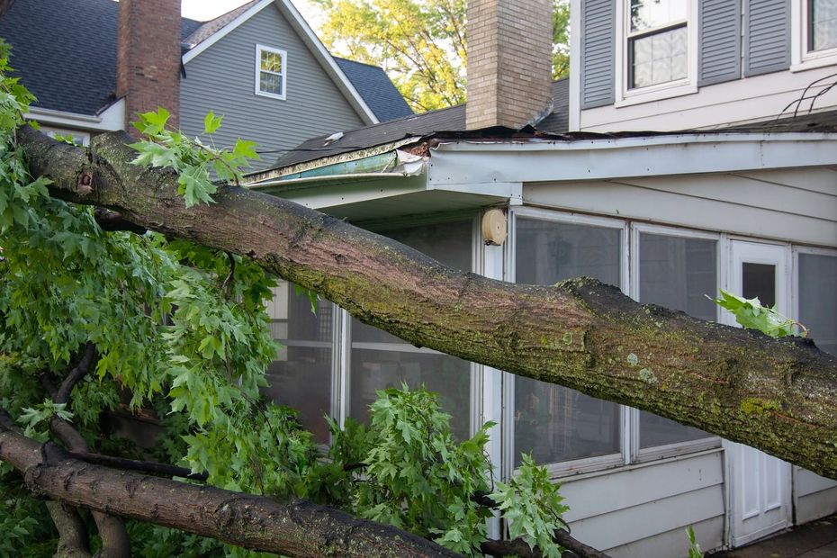 Fallen tree trunk leaning across a house roof and screened porch after storm damage