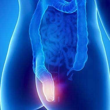 ENFERMEDADES DEL ANO