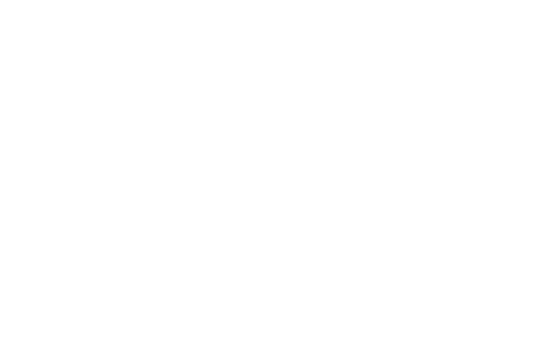 A blank white space.