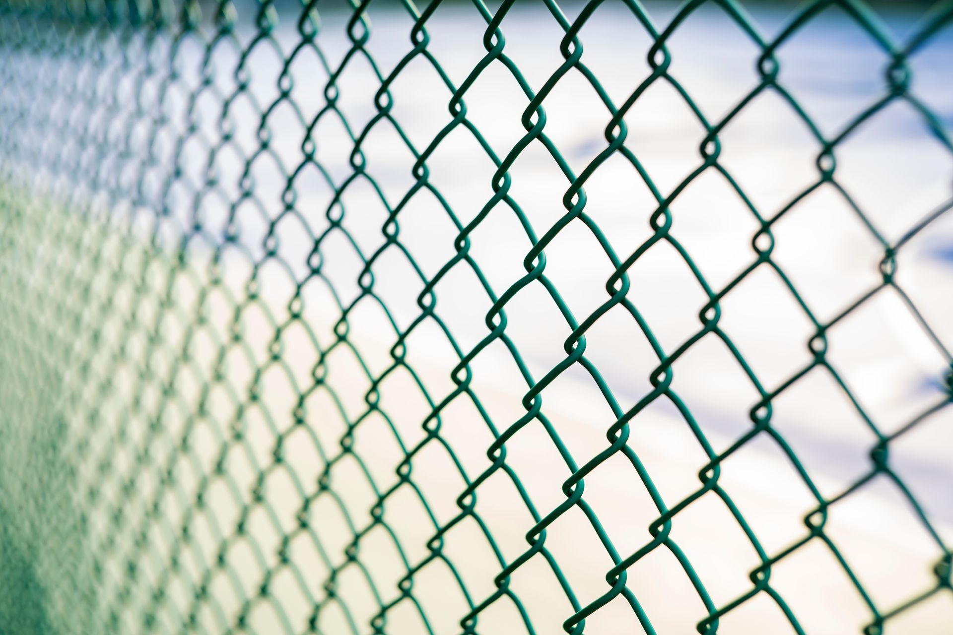 Close-up of a chain-link fence.