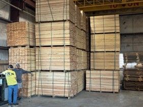Large stacks of bundled lumber stored inside a warehouse, with two workers standing near a forklift in front of the wood piles. Large stacks of bundled lumber stored inside a warehouse, with two workers standing near a forklift in front of the wood piles.