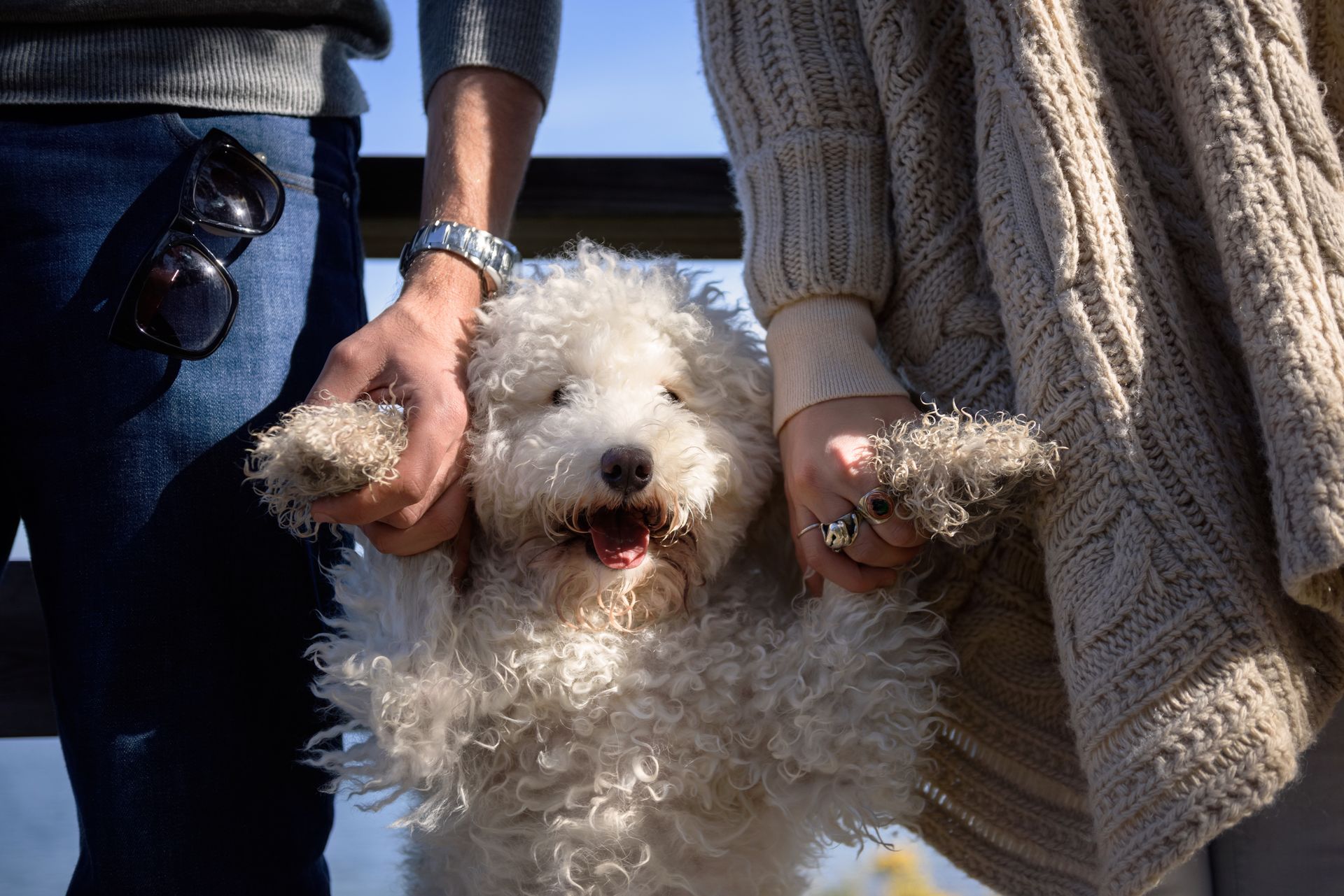 Small white dog being held up by two people, outdoors in sunlight, wearing a fluffy coat-like fur at Prelude at Medley.