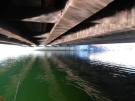 Under Bridge doing a Survey | Concord, NH | Richard D. Bartlett & Associates