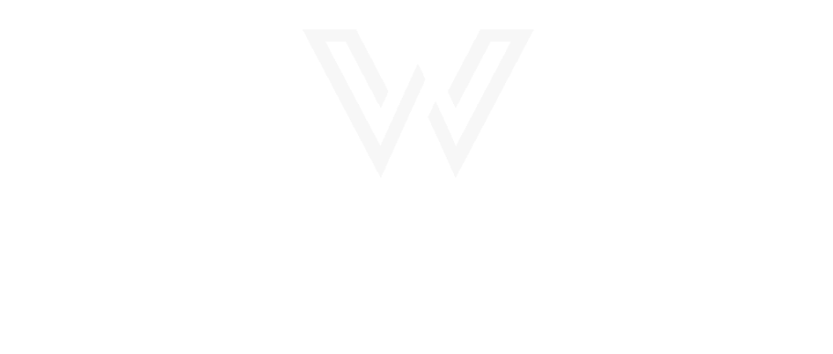 Wingman Plus LLC Logo