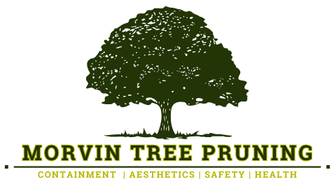 Morvin Tree Pruning