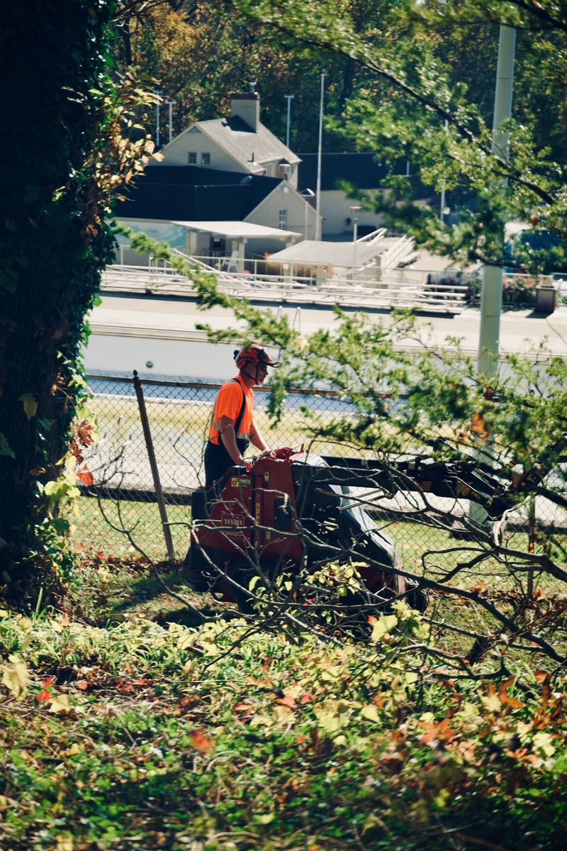 Person in orange shirt mowing a grassy yard near a road and house, viewed through trees.