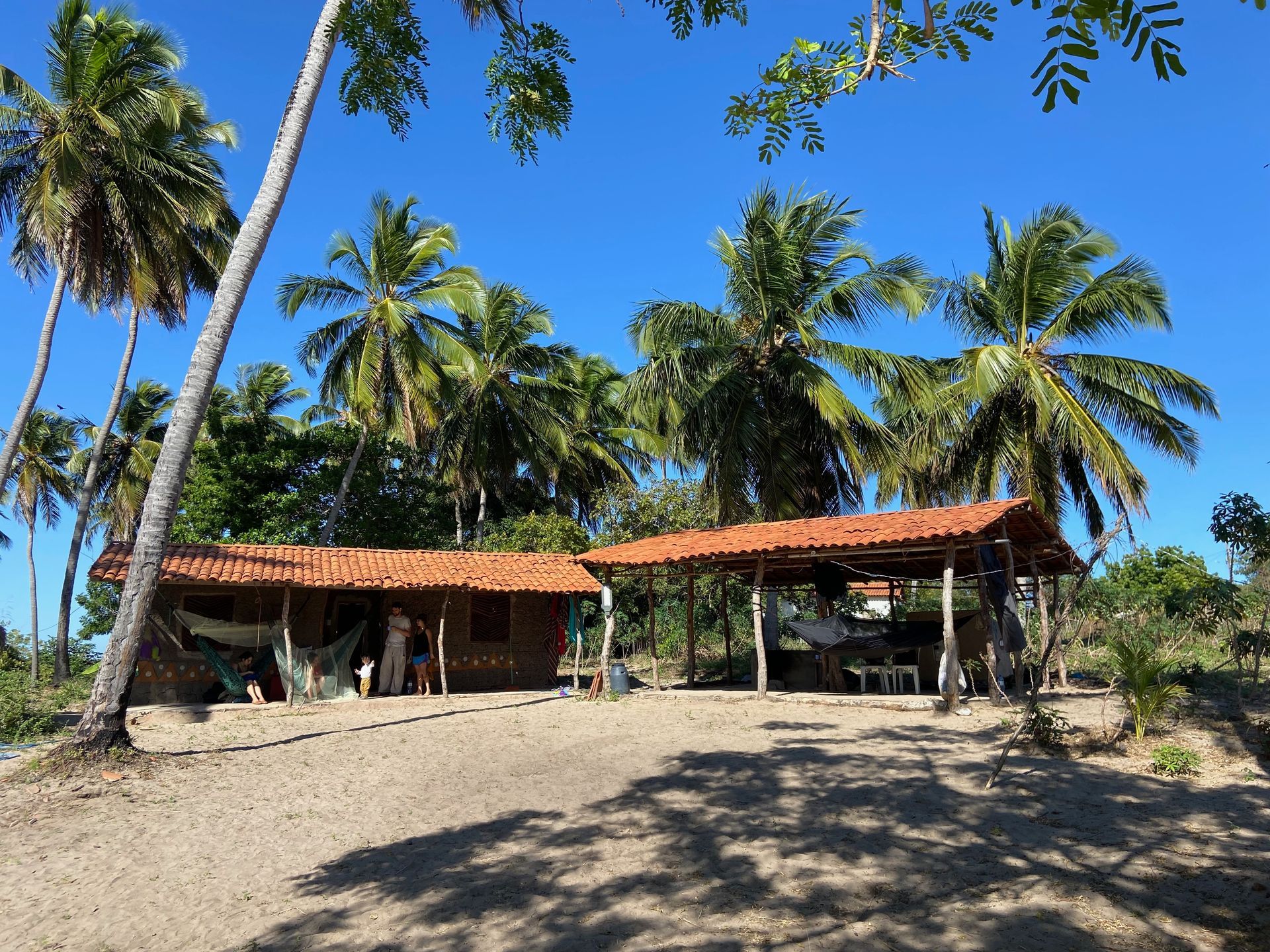 Rustic houses under palm trees on a sunny day.