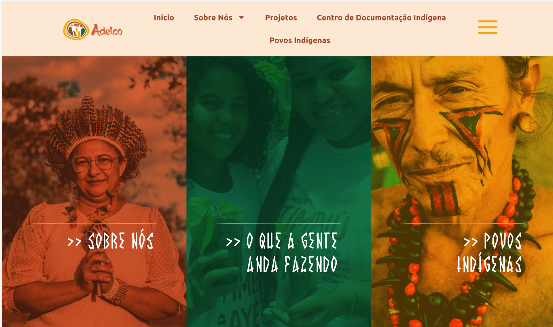 Adelco website: Launches book of photographs with indigenous people of Ceará; book cover visible.