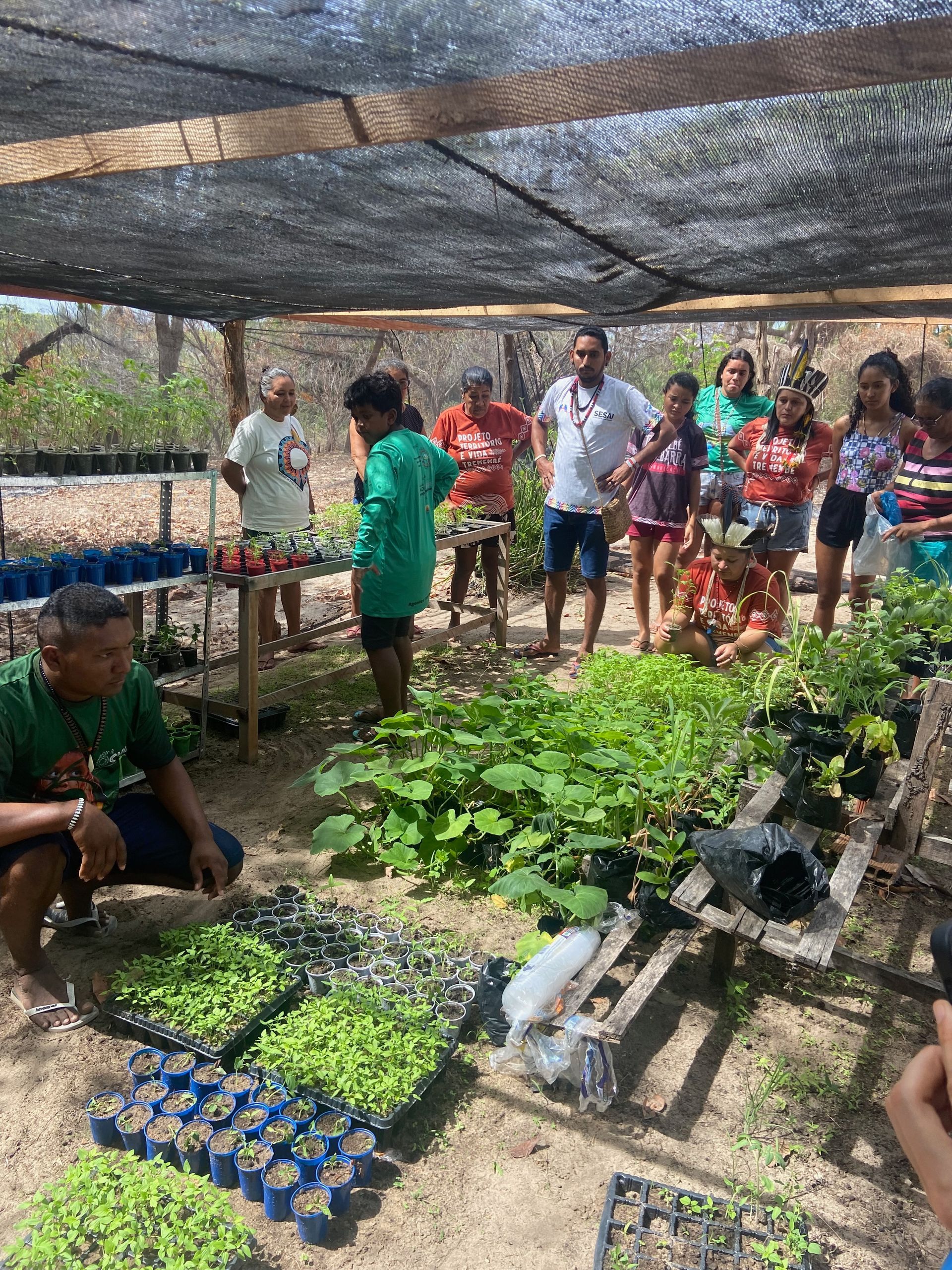 People in a garden looking at plants.  A man is kneeling, showing seedlings; others are standing, under a shaded structure.