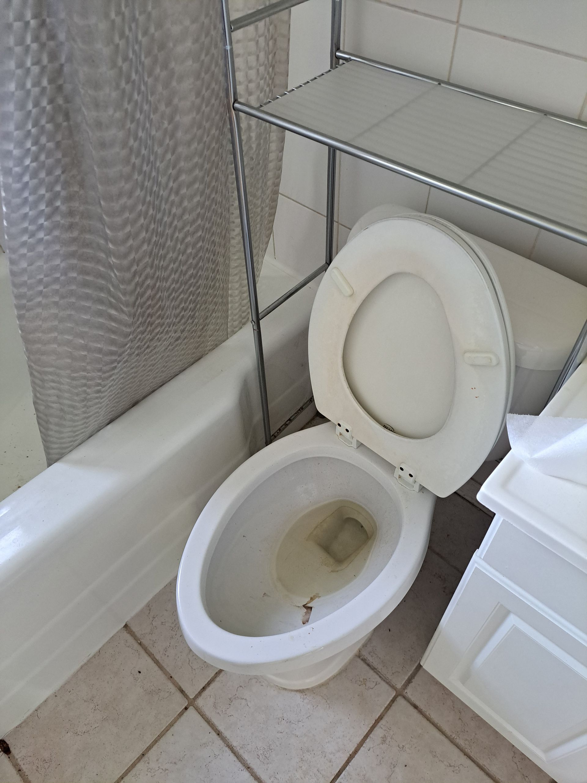 Before Bathroom Cleaning — Altamonte Springs, FL — Saga United Cleaning LLC