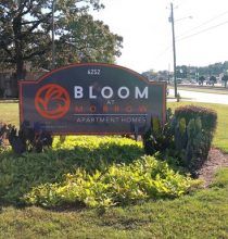 Bloom at Morrow