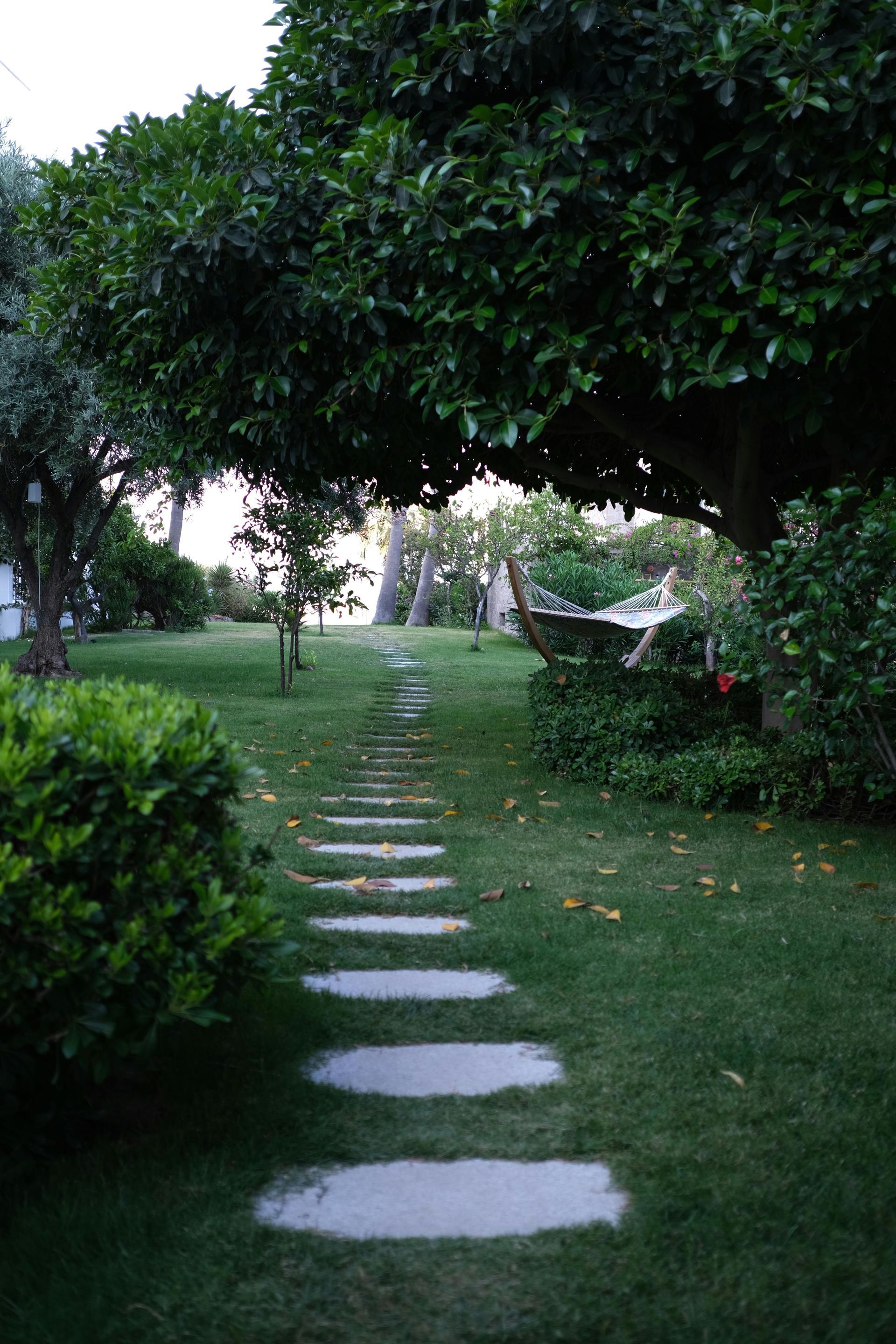 A path in the grass leading to a hammock under a tree