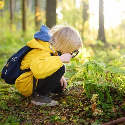 Little Boy Exploring Nature — East Perth, WA — It Takes A Village Family Day Care Service