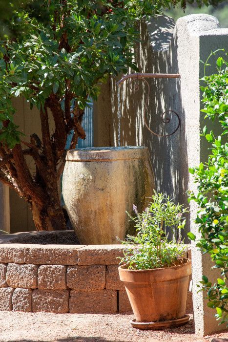 Potted plant beside a tree in a lush garden near Southwest Inn Sedona