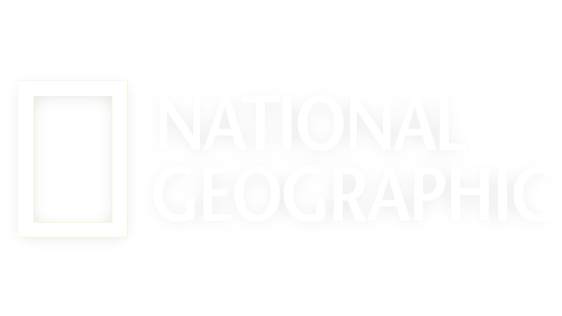 National Geographic logo