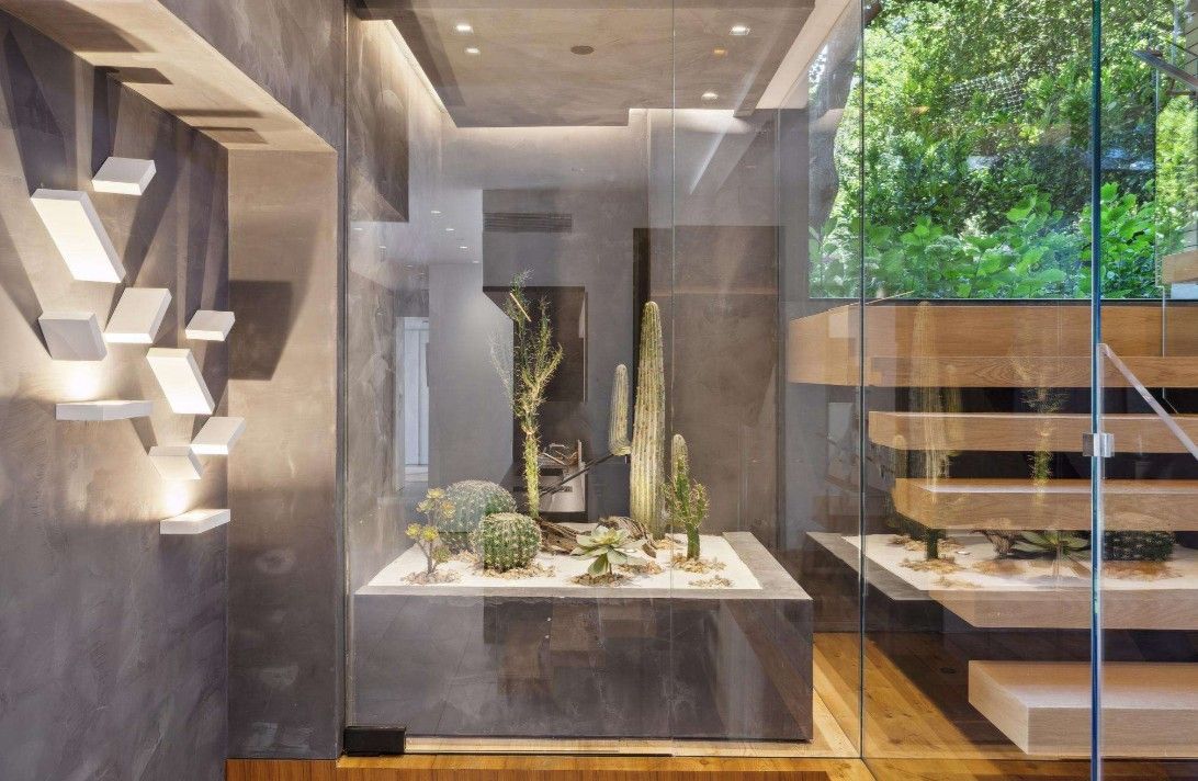 A room with a glass wall and a cactus in the middle of it.