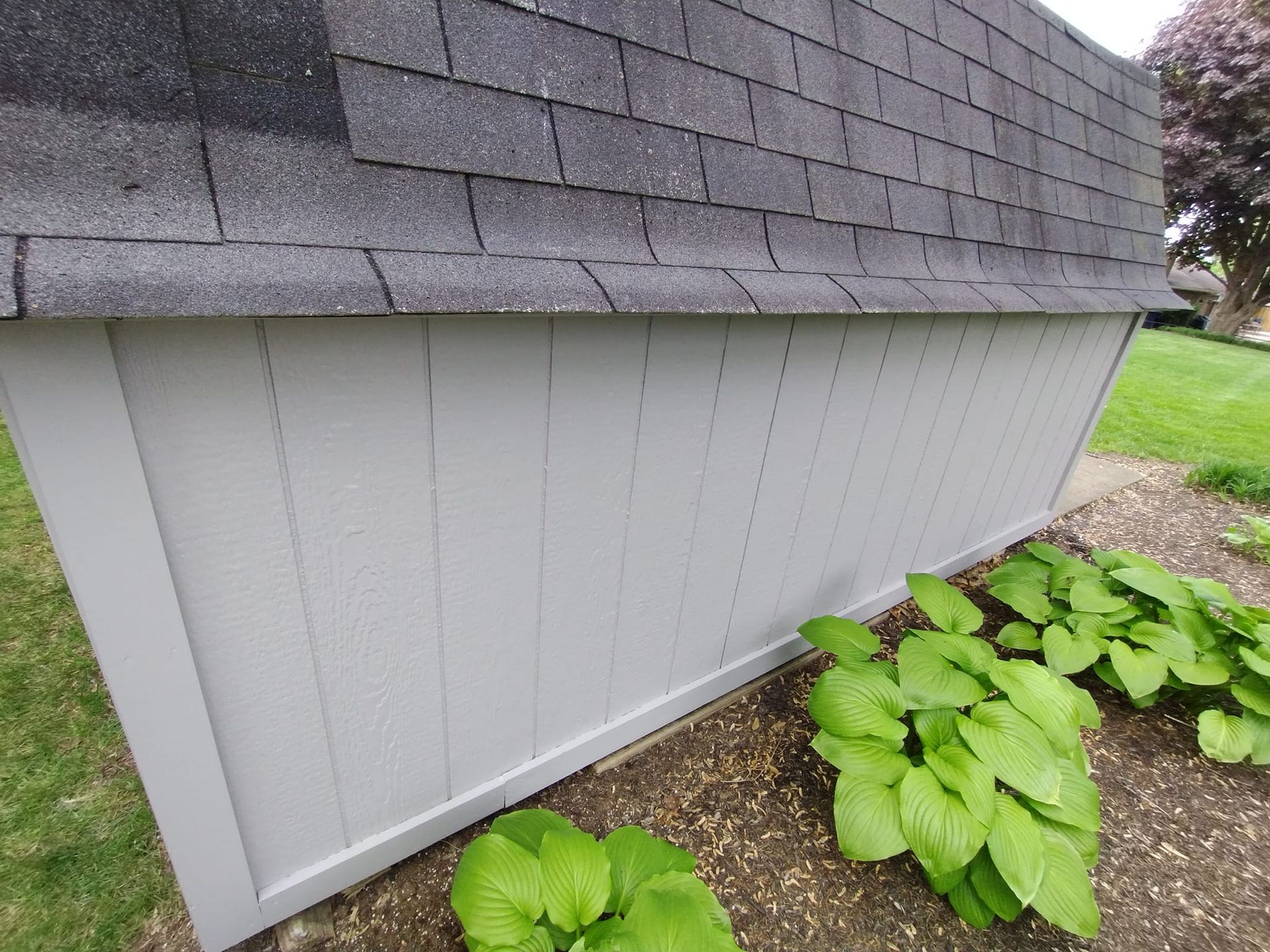 Gray shed with a dark gray shingle roof and light gray siding, surrounded by green plants.