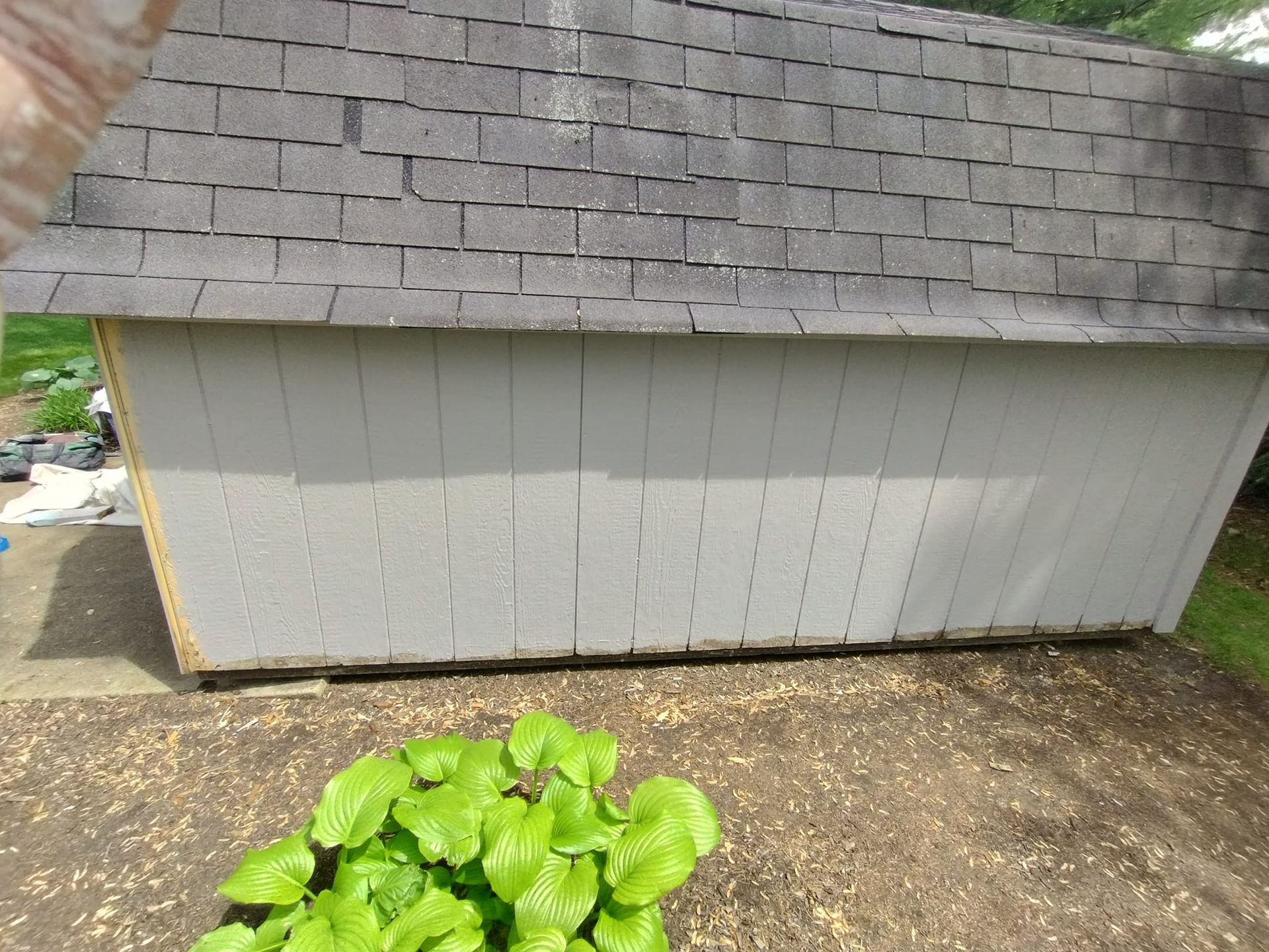 A gray shed with a slate roof and a plant in front of it