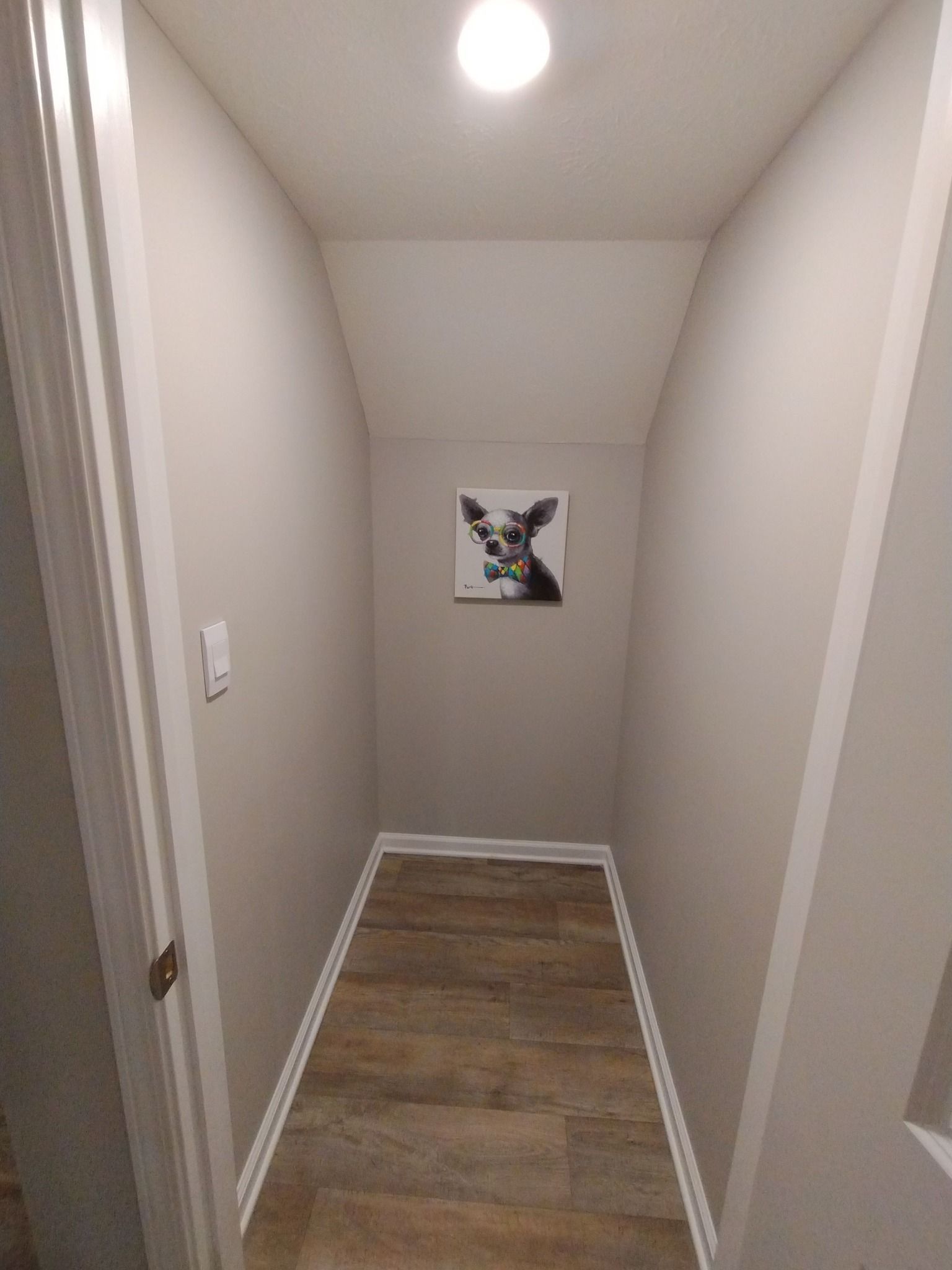 A hallway with a picture of a cat on the wall.