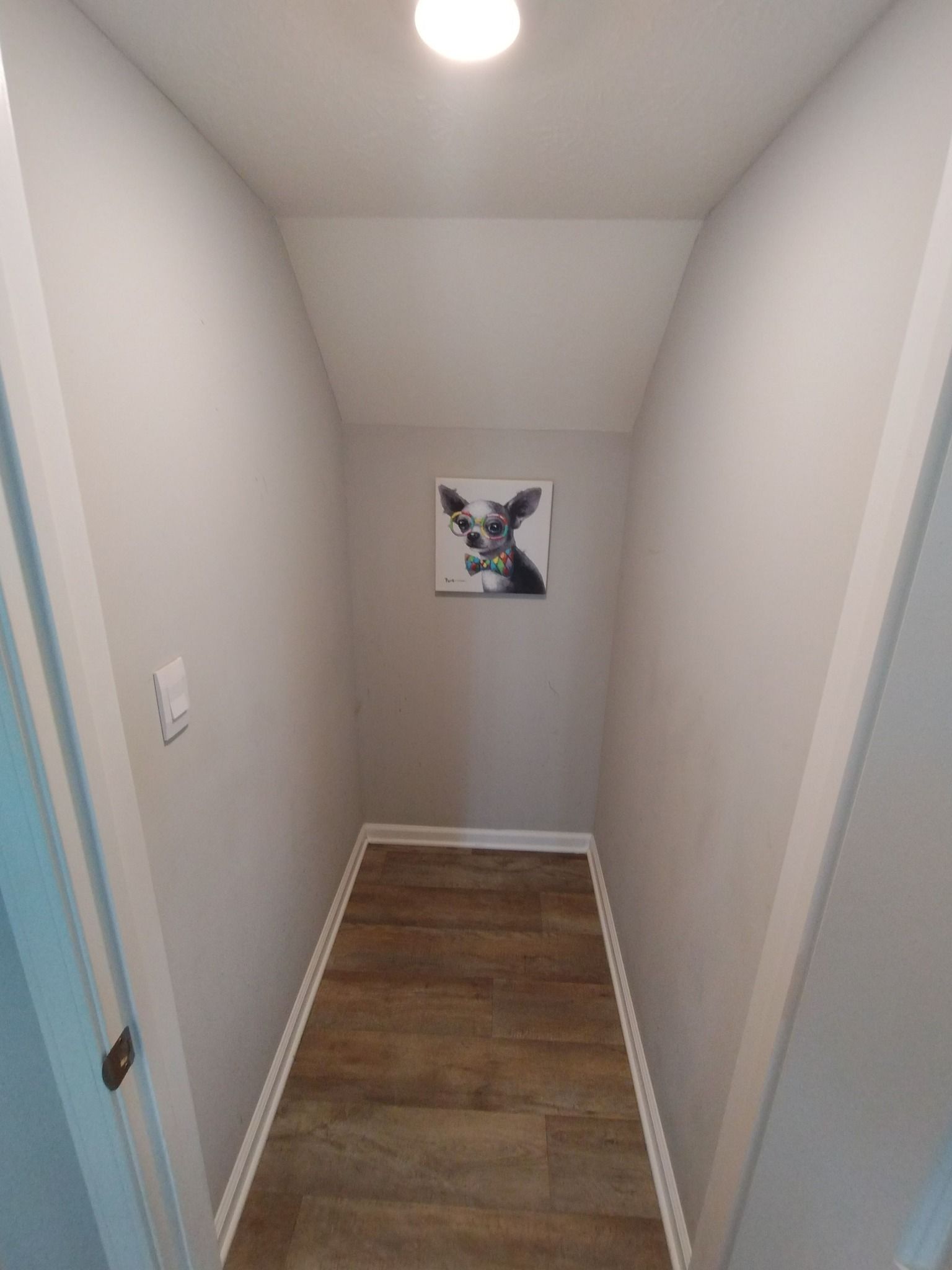 A hallway with a picture of a dog on the wall.