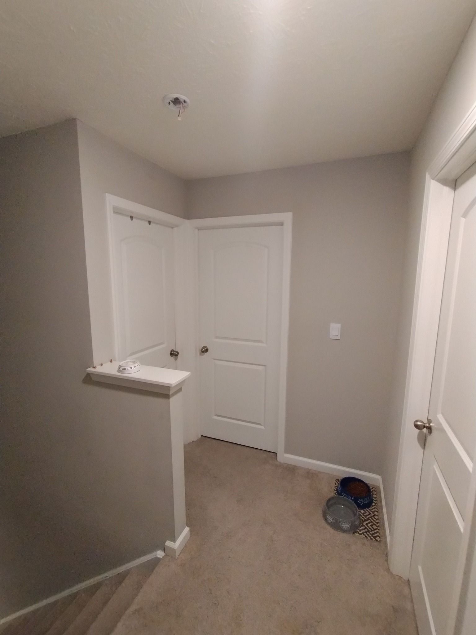 A hallway with a carpeted floor and white doors in a house.