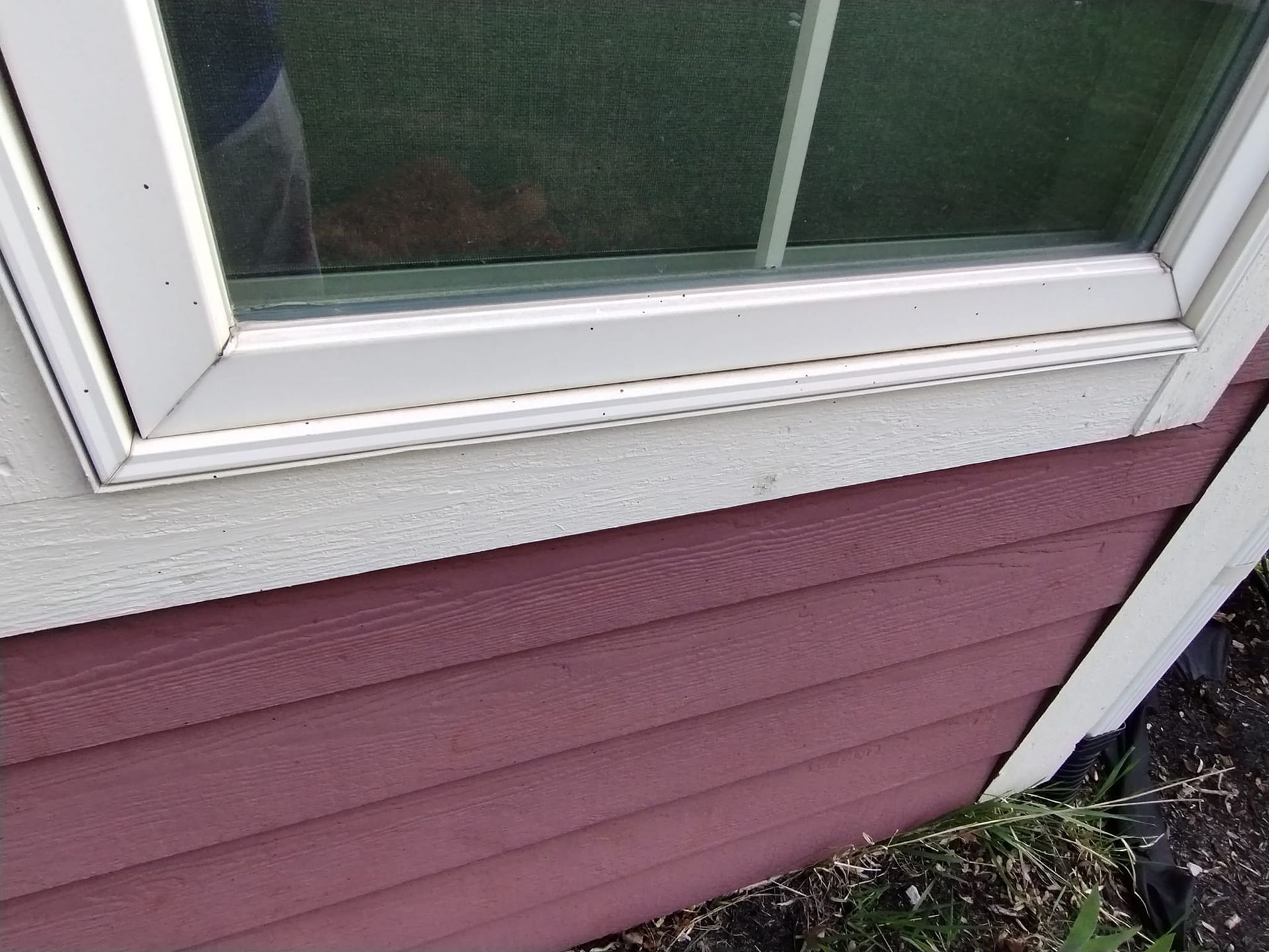 A close up of a window on a pink and white house.