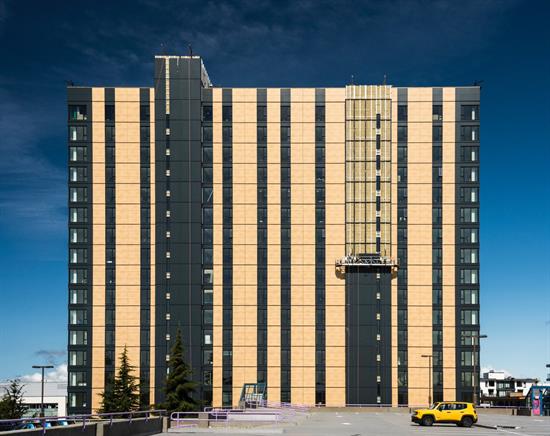 tallest timber buildings