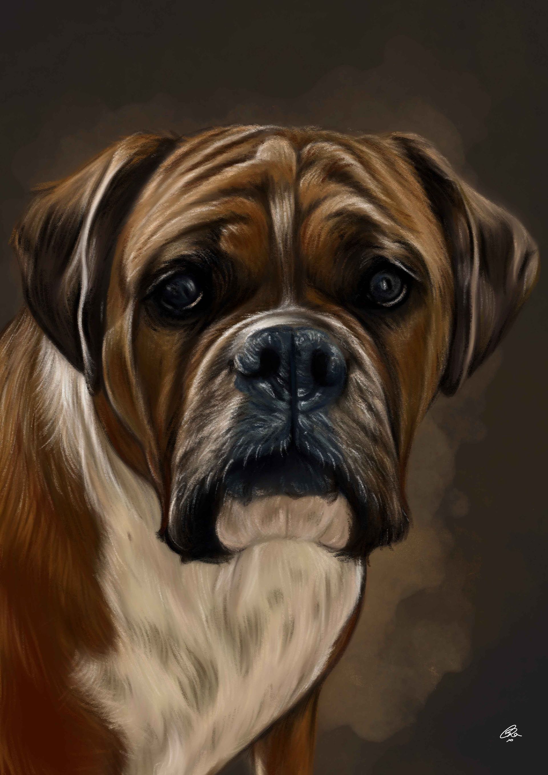 Custom Animal Prints