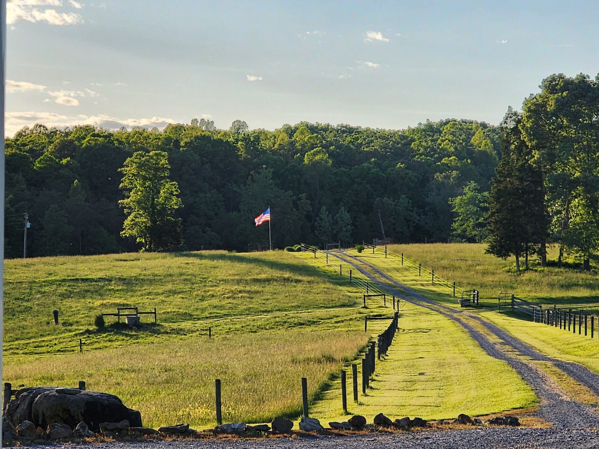 A grassy field with a dirt road leading to a forest, American flag flies high.