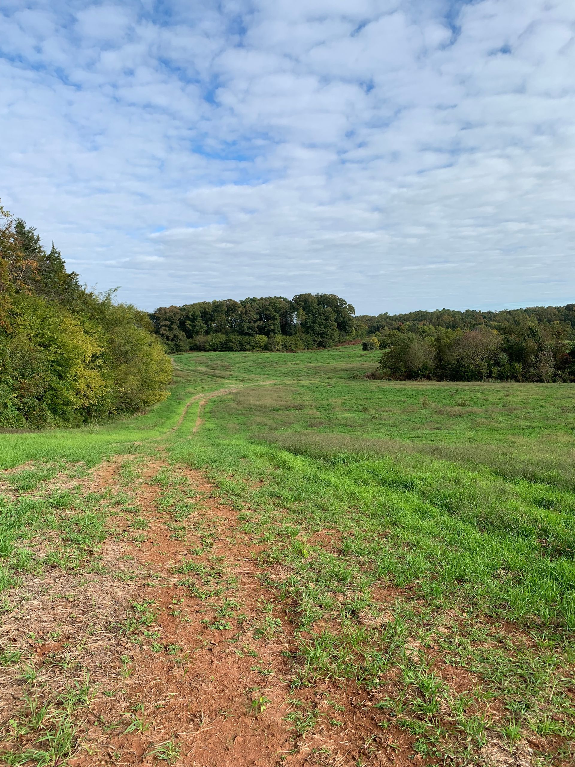 A dirt path leads through a green field with a treeline and cloudy sky in the distance.