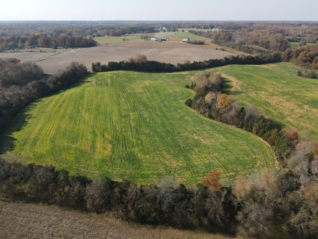 Aerial view of a green field surrounded by trees and a slightly brown field in the background, under a clear sky.