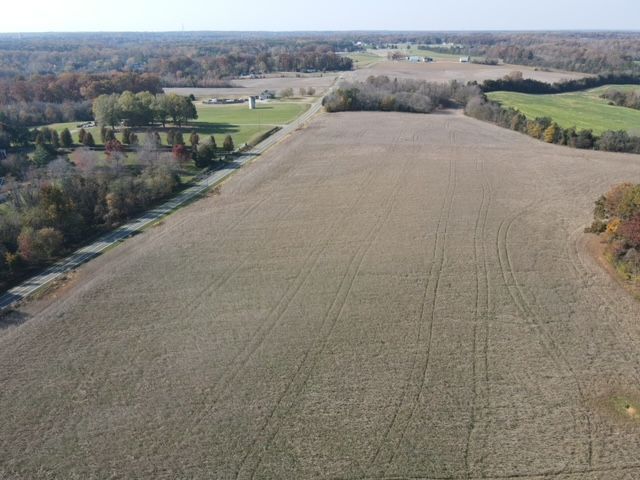 Brown harvested fields bordered by trees and a road on a sunny day.