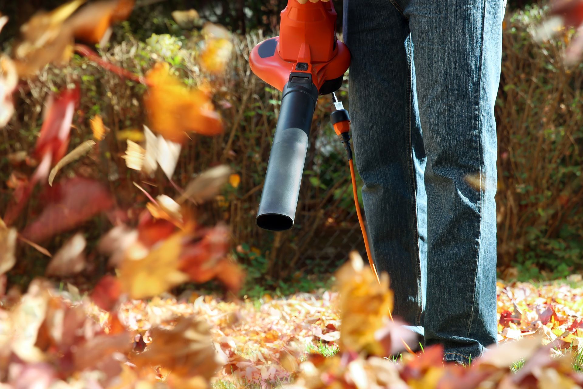 A person using an orange electric leaf blower to clear colorful autumn leaves from a yard.
