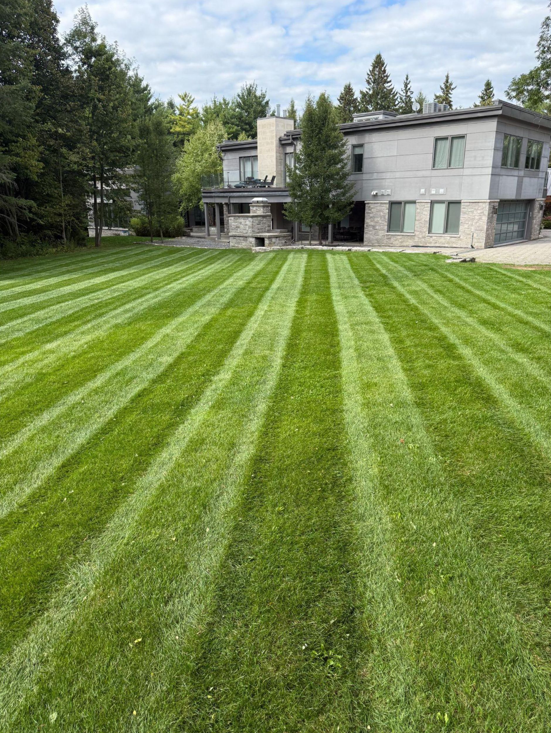 A manicured lawn with prominent stripes, framed by trees and a house in the background on a cloudy day.