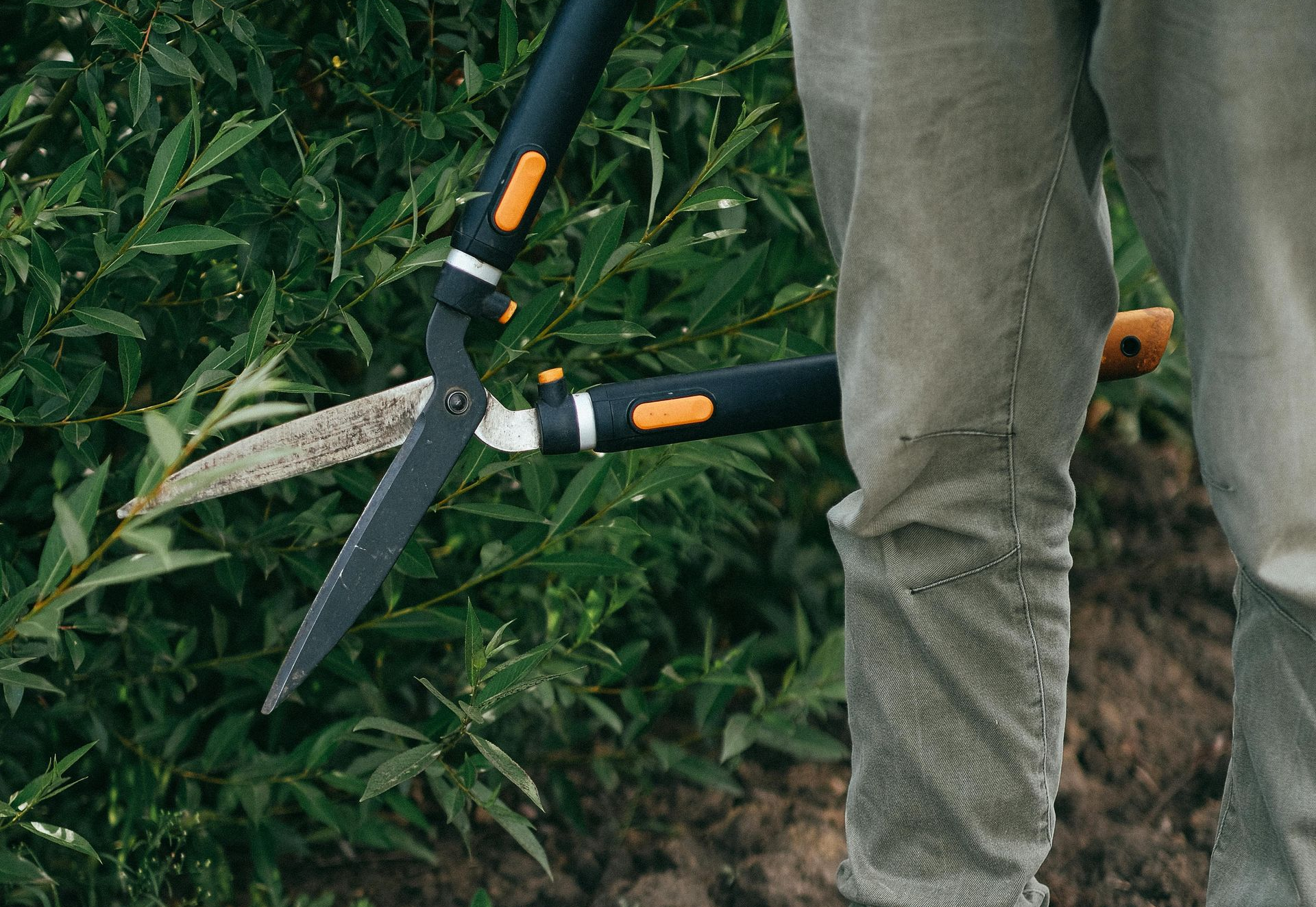 Maldonado Landscaping | Newark, DE | Landscaping