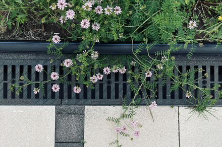 Maldonado Landscaping | Newark, DE