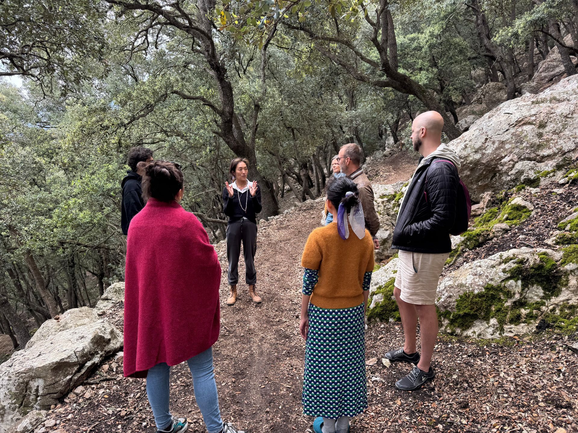 Mindful walking through Son Rullan's oak forest
