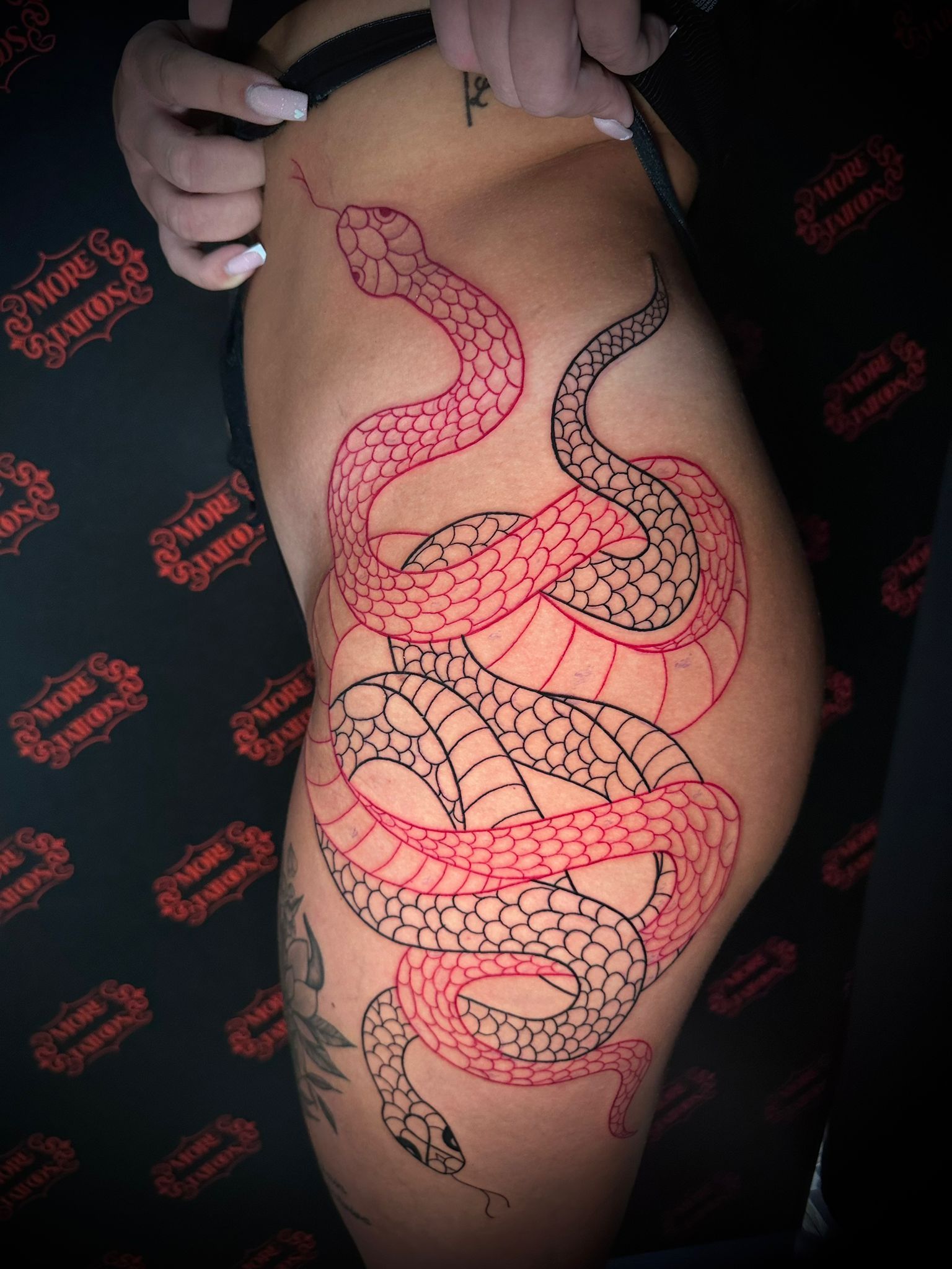 Snake Tattoo aus Limburg