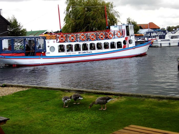 Musical evening boat trip on River Bure, from Wroxham: jazz, classical, disco and club nights.