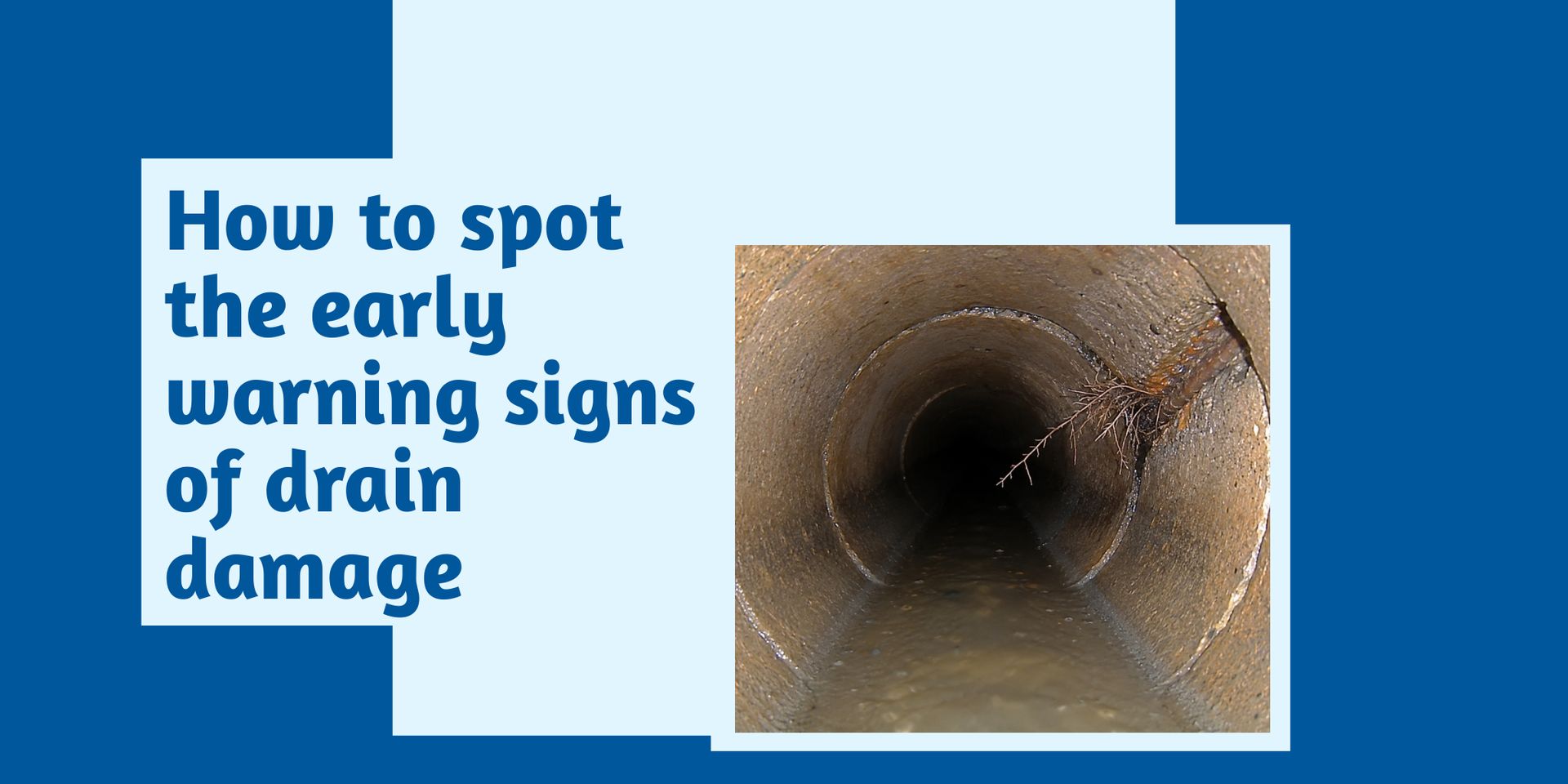 How to Spot the Early Warning Signs of Drain Damage (Before It Turns Into a Mess)