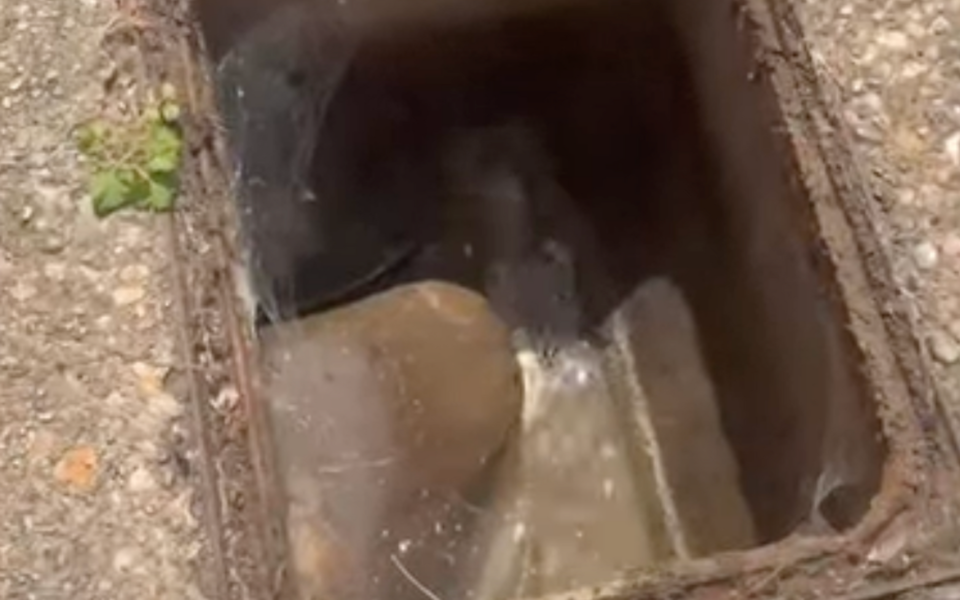 cleared drain by CDS Ltd