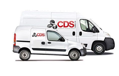 Vans signed written with CDS Ltd logo