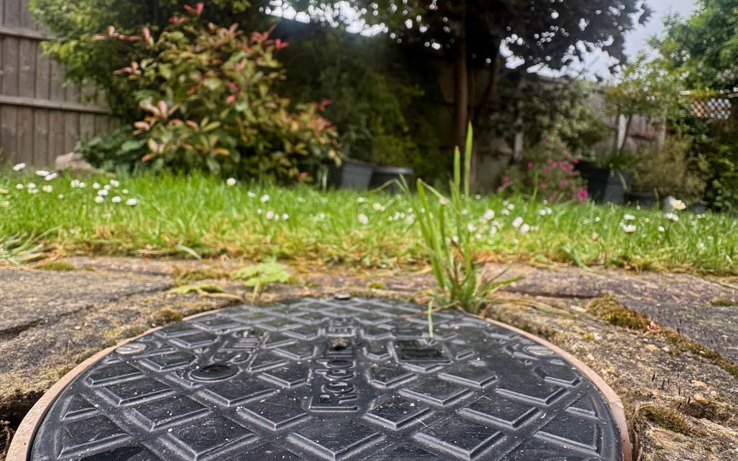 A manhole cover is sitting on the ground in a garden.