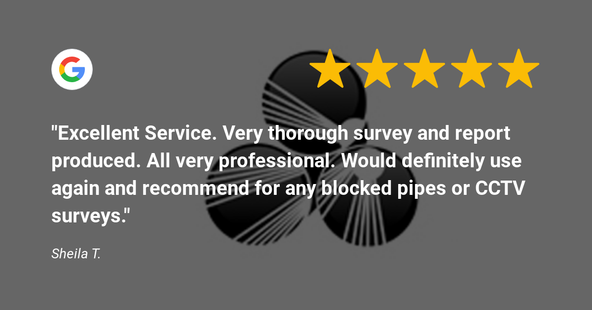 cds ltd google review