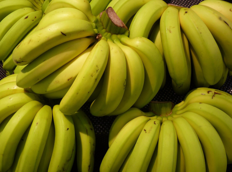 Racimos de plátanos verdes, primer plano.